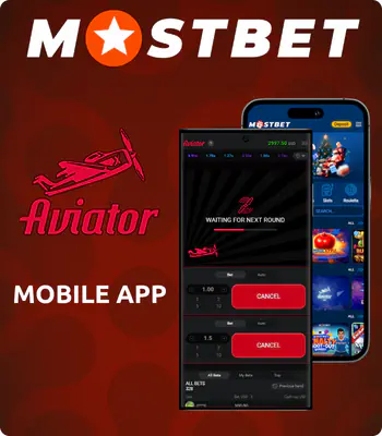 What You Should Have Asked Your Teachers About Mostbet AZ Casino Review