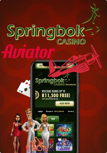 Um Olhar Mais Atento ao Springbok Online Casino