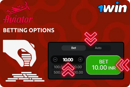 Betting options explained Aviator 1Win